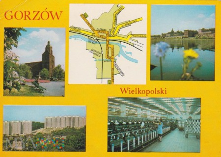 Duże zdjęcie Gorzów Wielkopolski