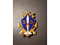 Odznaka Grupy Artylerii Morskiej 303 _ Francja