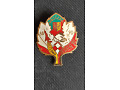 Odznaka Rezerwisty Wrocław Jesień 88 -90