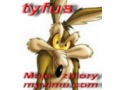 Tyfus Darek - Moje zbiory