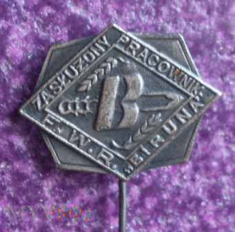 Odznaka Zasłuzony Pracownik FWR Biruna