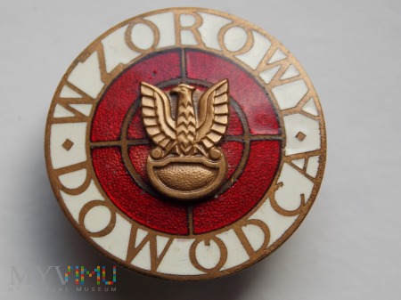 WZOROWY DOWÓDCA -1973