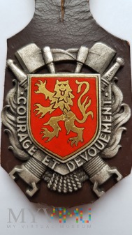 Duże zdjęcie Odznaka SAPEURS POMPIERS AVEYRON