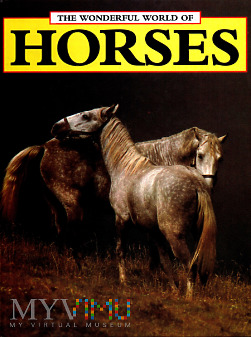 Duże zdjęcie The Wonderful World of HORSES Angela Sayer