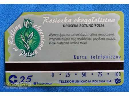 Rośliny chronione w Polsce