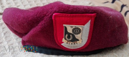 91st Cavalry Regiment (Airborne)