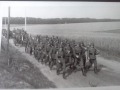 Kolumna niemieckich wojsk