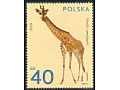 Zobacz kolekcję Znaczki pocztowe PRL- zwierzęta, rośliny 