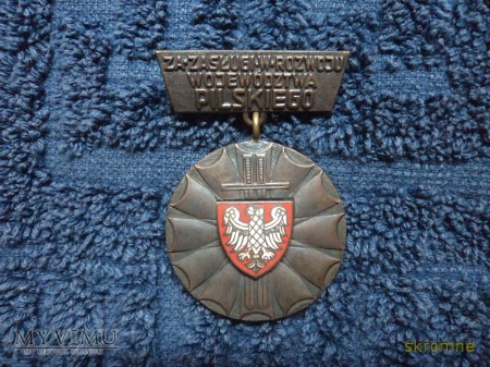 Medal Za Zasługi w Rozwoju woj. pilskiego