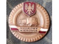 Brązowa Odznaka „Wzorowy Kierowca”