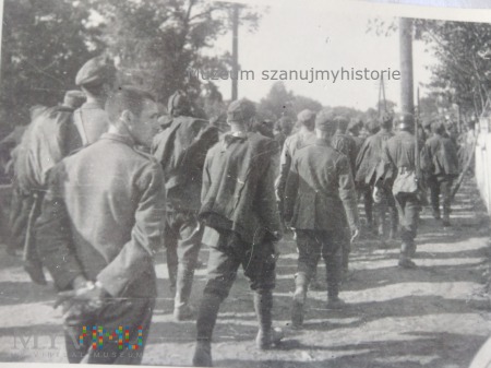 kolumna jeńców 1939