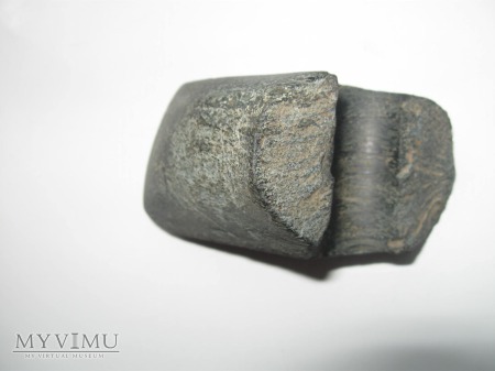 Toporek neolityczny - fragment