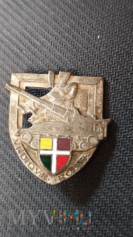 Odznaka 17 Grupy Artylerii - Francja