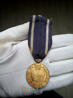 Medal Za Odrę, Nysę, Bałtyk