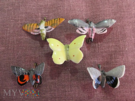 Motyle porcelanowe-KWHW