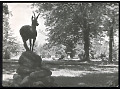 Goczałkowice Zdrój - Rzeźba w parku - 1962