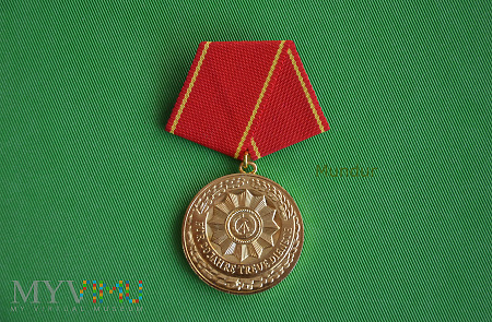 Medaille für in den bewaffneten Organen des MdI 20