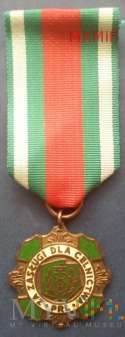 Duże zdjęcie Brązowa Odznaka Za zasługi dla celnictwa PRL
