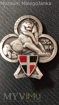 Duże zdjęcie Odznaka 35 Pułku Piechoty Armii Francuskiej