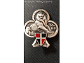 Odznaka 35 Pułku Piechoty Armii Francuskiej