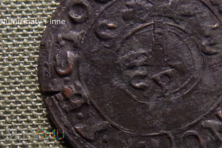 półtorak koronny Zygmunta III - fals