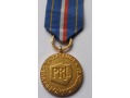 Odznaka „Za Zasługi dla Obrony Cywilnej” złota