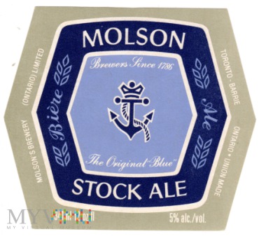 Duże zdjęcie Molson Stock Ale