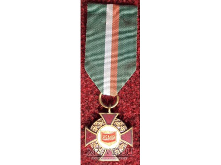 Odznaka za Zasługi dla ZSMP