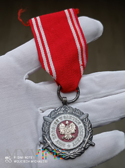 Srebrny Medal Siły Zbrojne w Służbie Ojczyzny