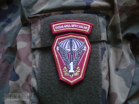 1 Pułk Specjalny Komandosów
