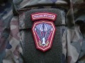 1 Pułk Specjalny Komandosów