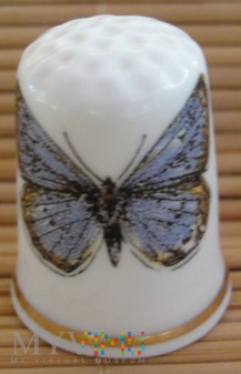 Duże zdjęcie Naparstek-motyl