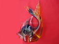 Fantazyjna ryba (1)