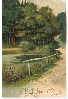 Pejzaż leśny z jeziorkiemi - 1904