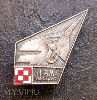 1 Pułk Lotnictwa Myśliwskiego