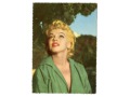 Marilyn Monroe Aktorka Marylin vintage postcard
