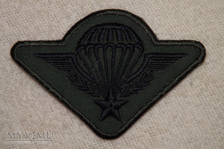 Naszywka Comando D"air c10