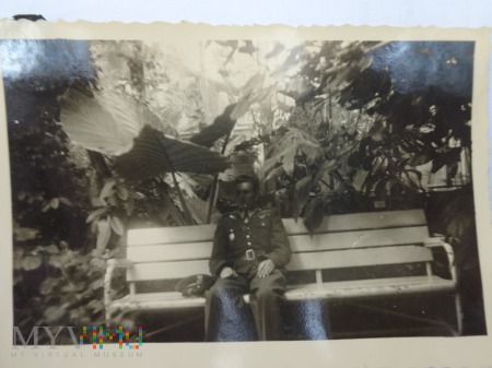 Zdjęcie żołnierzy - pod palmami w palmiarni