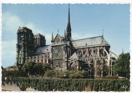 Duże zdjęcie Paryż - Katedra Notre-Dame - lata 50-te