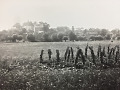 Tyczyn panorama miasta 1961
