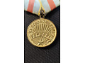 Medal Za Wyzwolenie Warszawy - CCCP