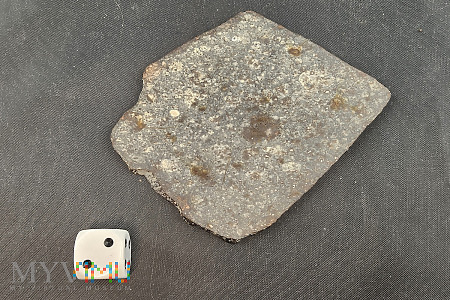 42.NWA 869 -36 gram- Chondryt zw L3-L6