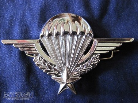 Odznaka spadochroniarza srebrna II