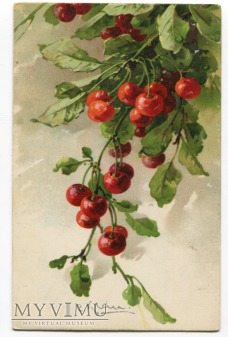 Catharina C. Klein piękne owoce Fruit Postcard