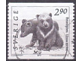 Brown Bear cubs (Ursus arctos)