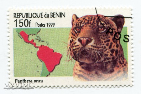 Duże zdjęcie Koty dzikie Benin 1999 zestaw znaczki
