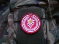1 Batalion Strzelców Podhalańskich, 21 BSP