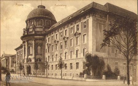 Budynek Collegium Maius w Poznaniu