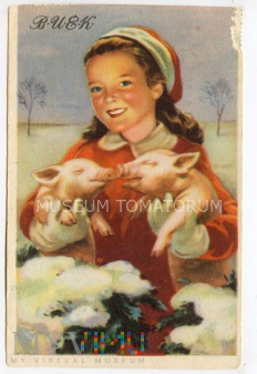 Duże zdjęcie Świnka Bożonarodzeniowa - 1951