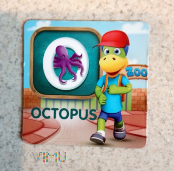 Duże zdjęcie Octopus